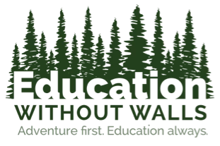 Education Without Walls