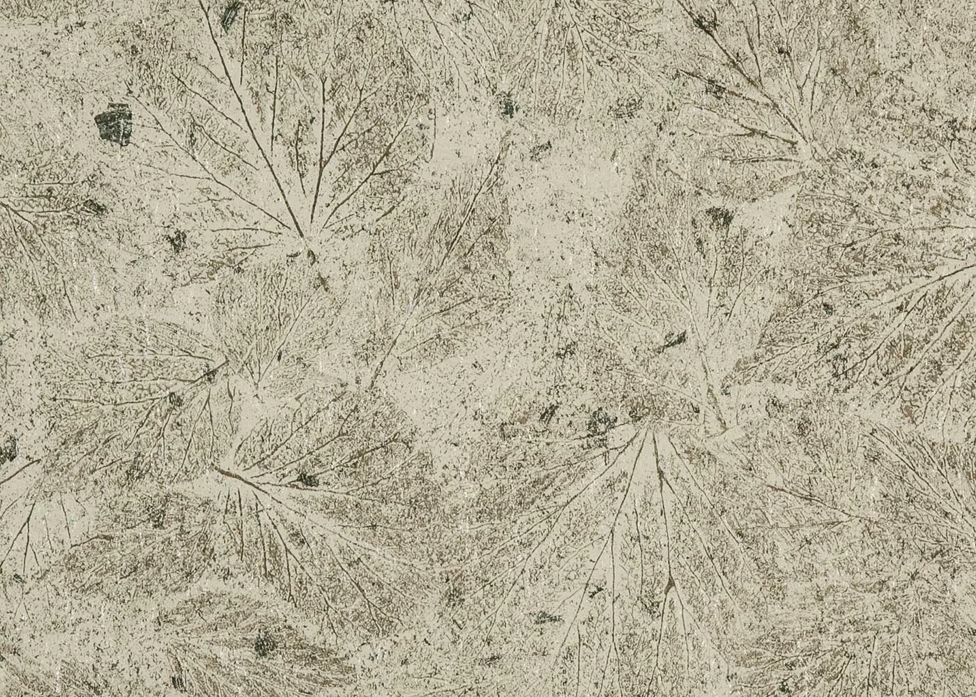 Forest Floor Birch