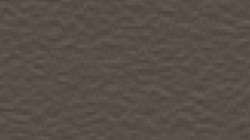 TLG Medium Bronze