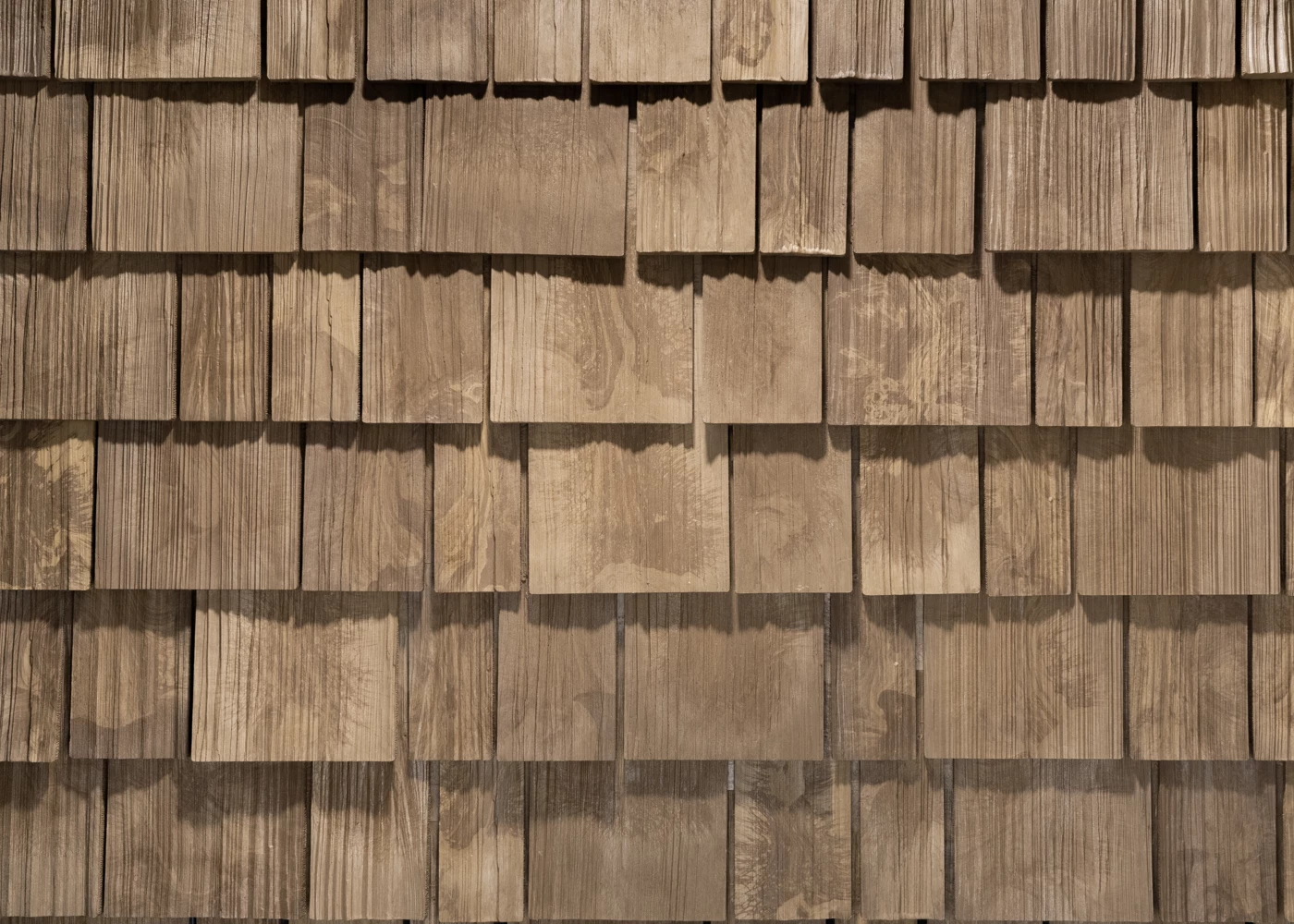 New Cedar